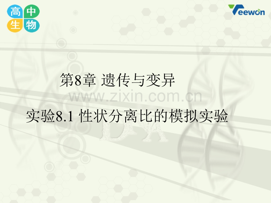 《实验8.1性状分离比的模拟实验》教学课件(1).ppt_第1页