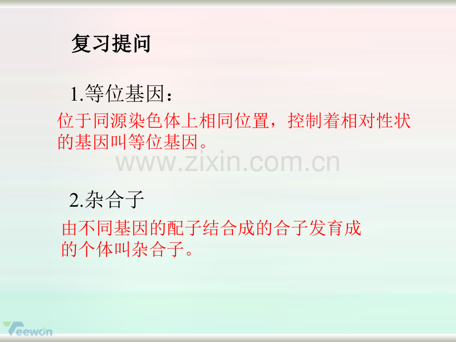 《实验8.1性状分离比的模拟实验》教学课件(1).ppt_第2页