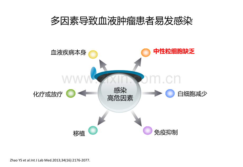 利奈唑胺在血液科的应用进展.pptx_第3页