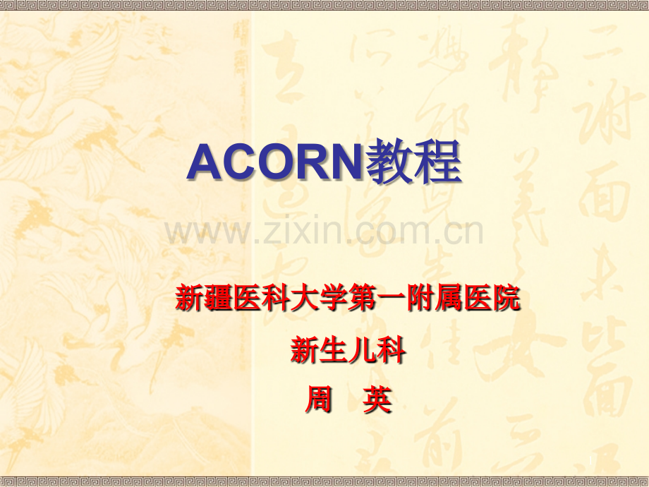 ACoRN教程.ppt_第1页