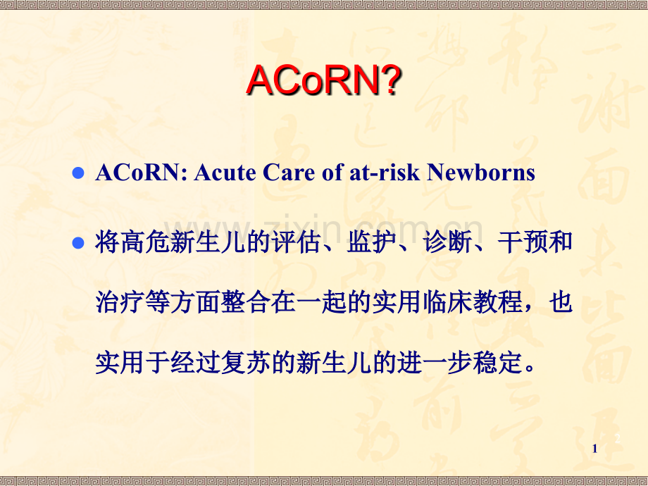 ACoRN教程.ppt_第2页