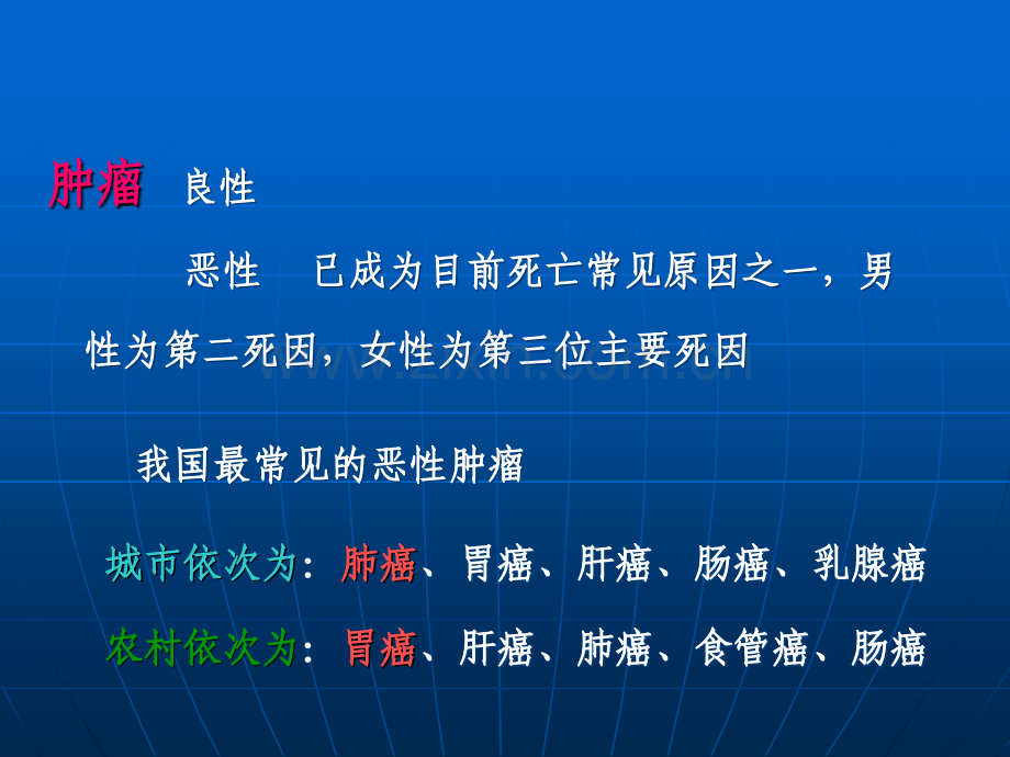 4肿瘤(0.5学时).ppt_第3页