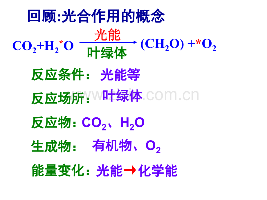 光合作用过程.ppt_第2页