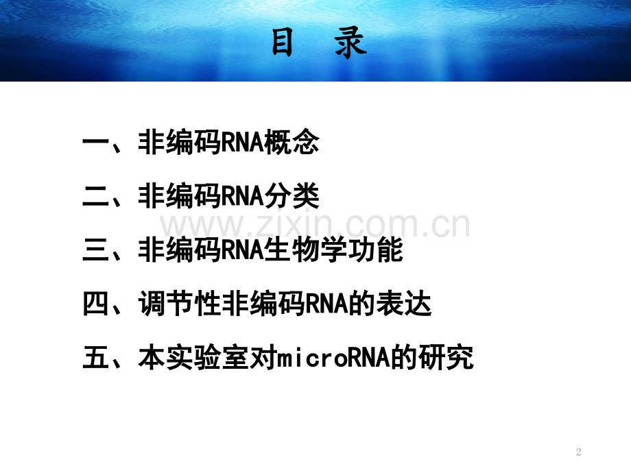 非编码RNA.pptx_第2页