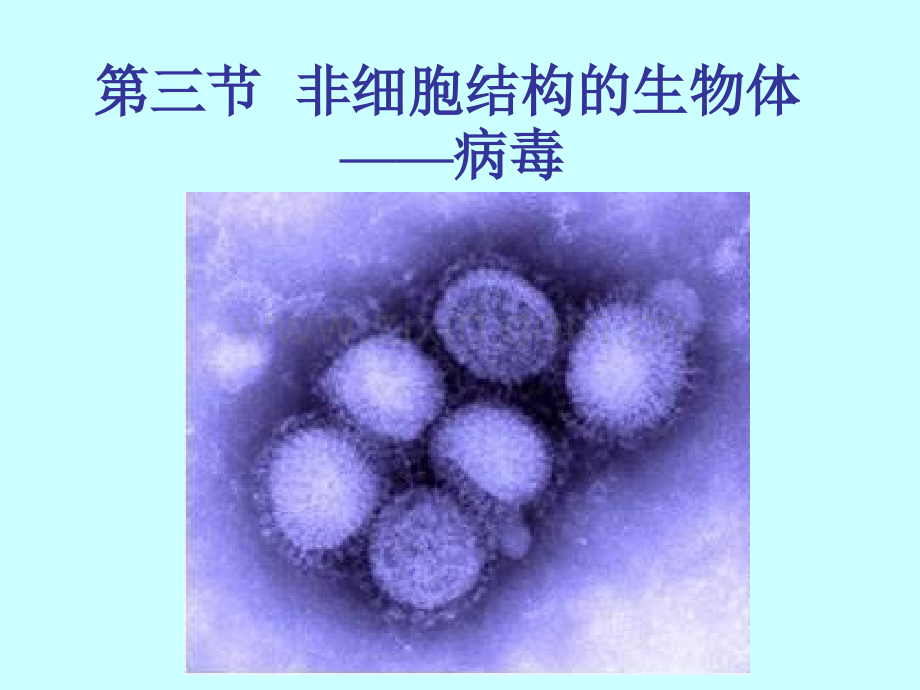 沪科版生物高中第一册3.3《非细胞结构的生物体——病毒》课件(共54张PPT)-.ppt_第2页