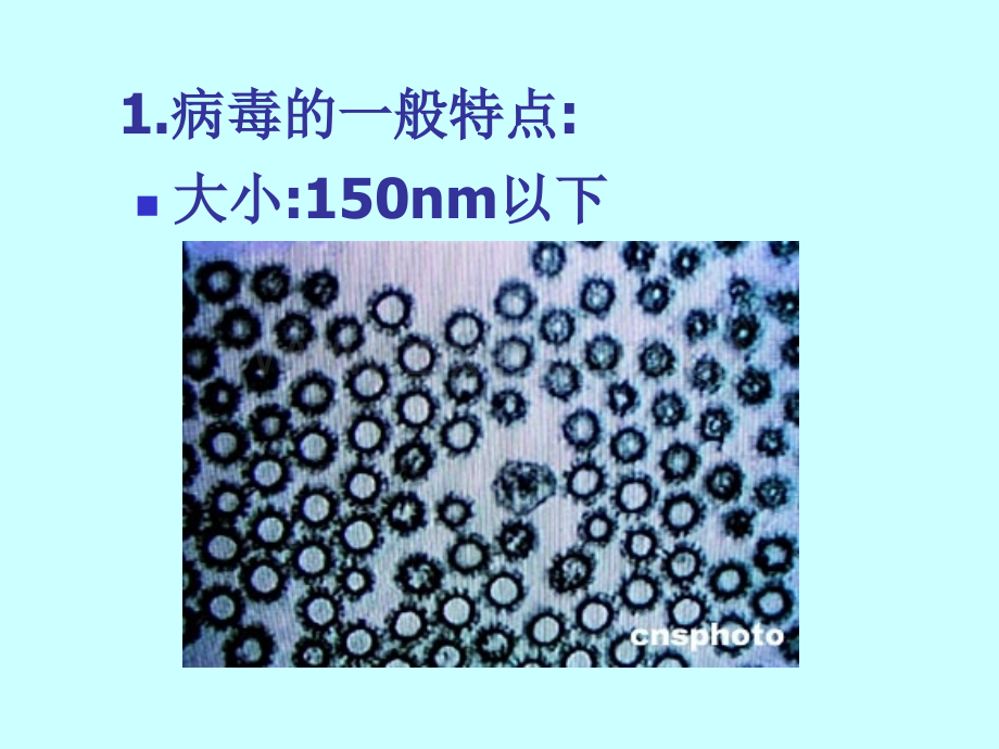 沪科版生物高中第一册3.3《非细胞结构的生物体——病毒》课件(共54张PPT)-.ppt_第3页