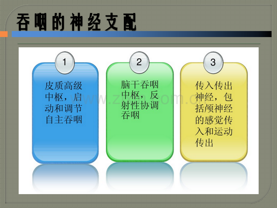 吞咽障碍凝胶临床应用神经内科.pptx_第2页