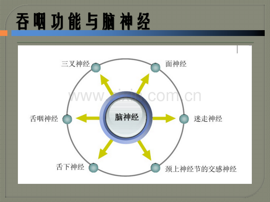 吞咽障碍凝胶临床应用神经内科.pptx_第3页