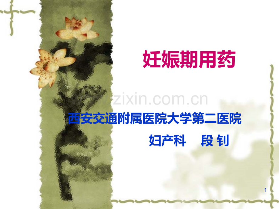 妊娠期用药段钊.ppt_第1页