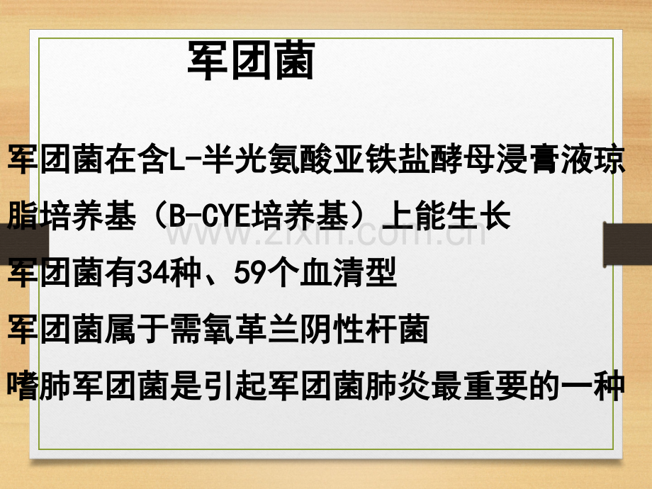 军团菌肺炎.ppt_第2页