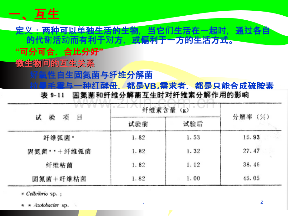 第四章微生物之间的关系.ppt_第2页