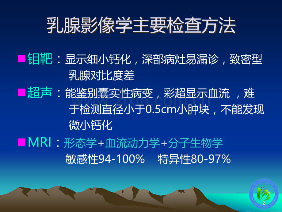 乳腺病变磁共振基本征象分析.ppt_第2页