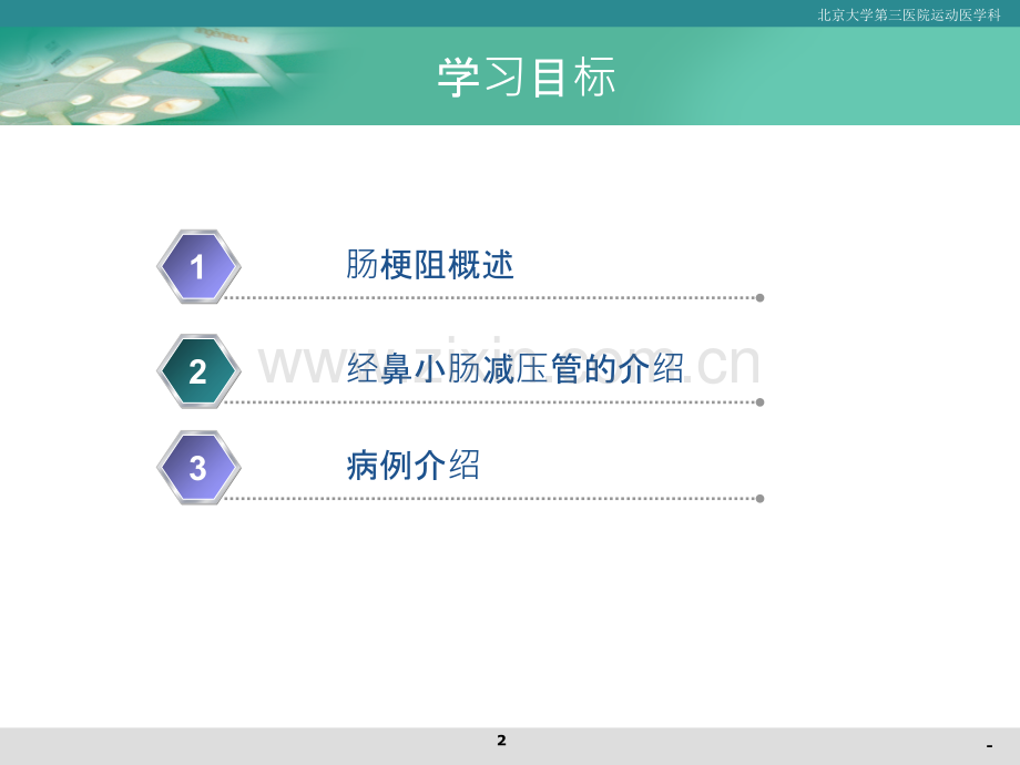 肠梗阻小肠减压管的应用.ppt_第2页