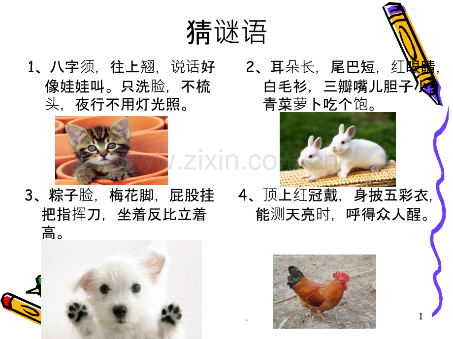 我喜欢的小动物.ppt_第1页