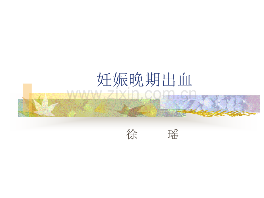 妊娠晚期出血性疾病演示课件.ppt_第1页