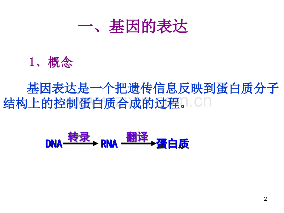 基因的表达与基因对性状的控制.ppt_第2页