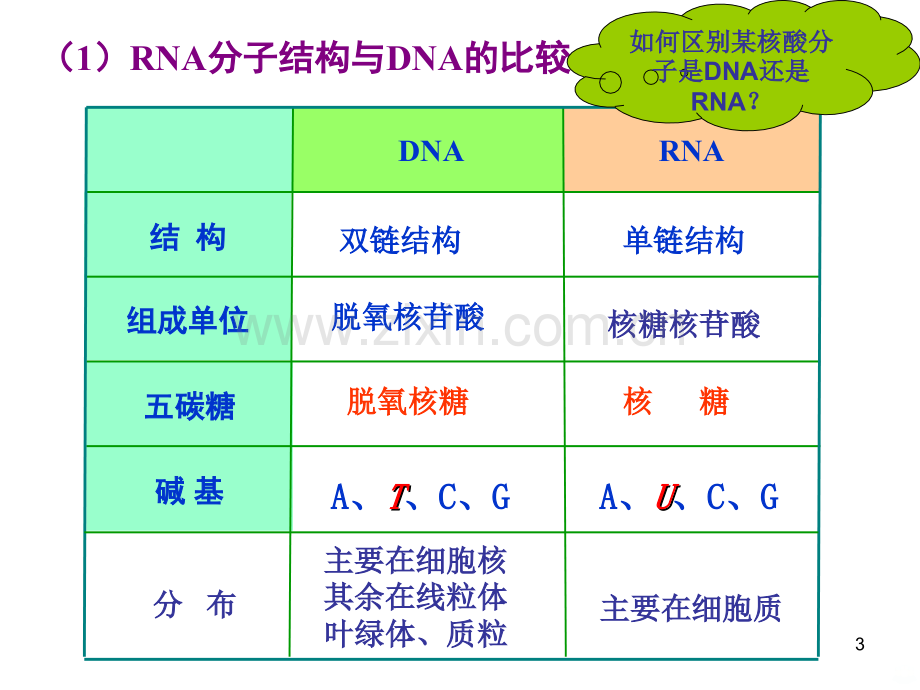 基因的表达与基因对性状的控制.ppt_第3页