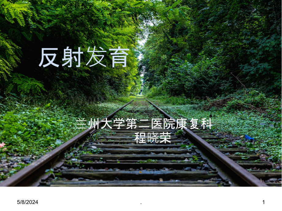 反射发育.ppt_第1页