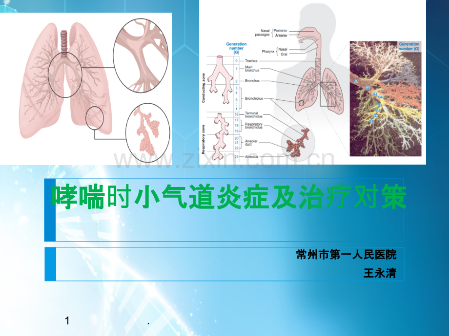 哮喘的小气道炎症(科内稿).ppt_第1页