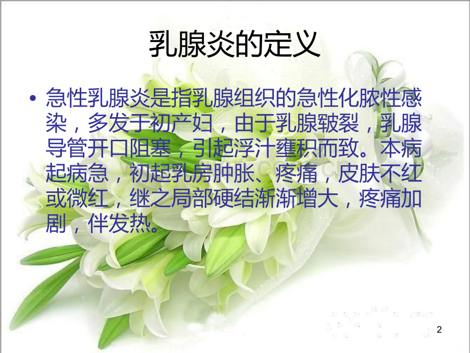 乳腺炎的护理查房资料.ppt_第2页