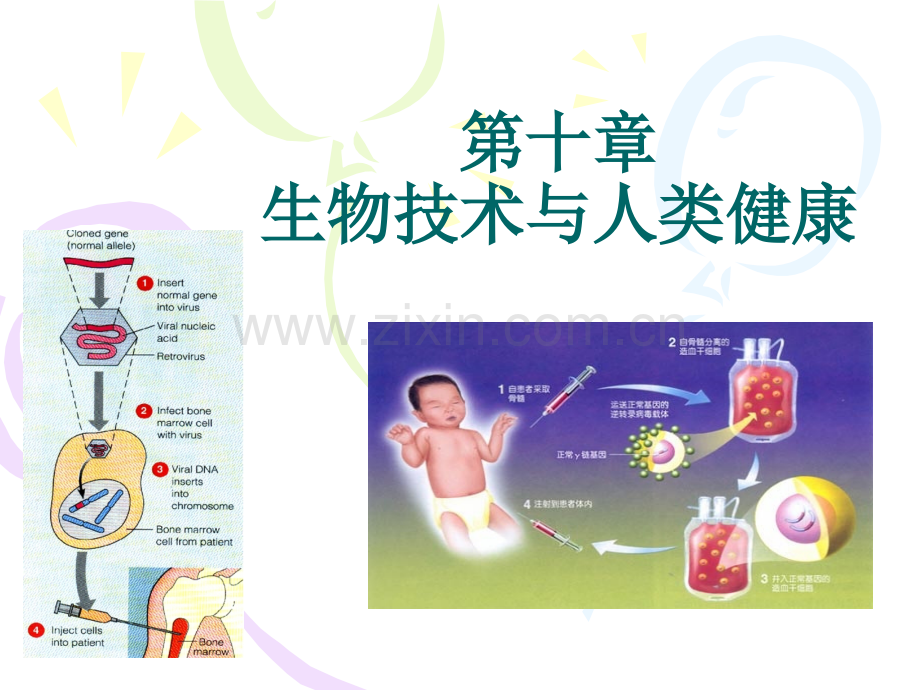 生物技术与人类健康.ppt_第1页