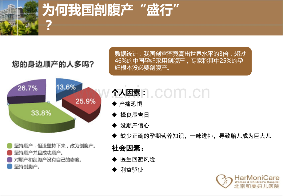 《百顺产计划》企业.ppt_第3页