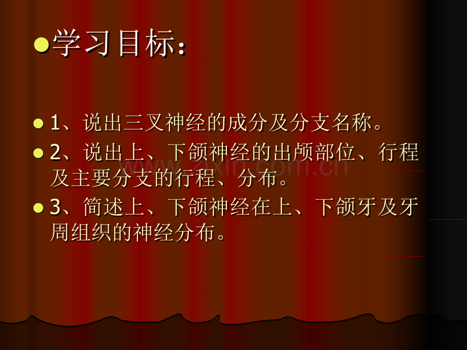 口腔颌面部系统解剖血管、神经2.ppt_第2页