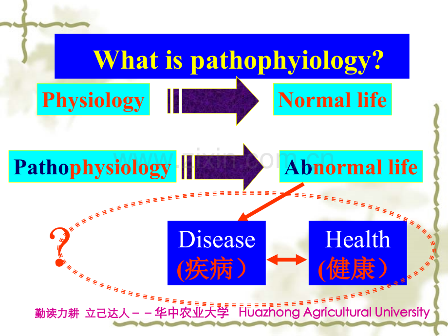 02疾病论.ppt_第2页