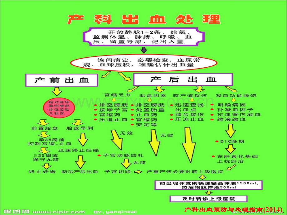 鲍红光产科出血的麻醉与处理.ppt_第3页