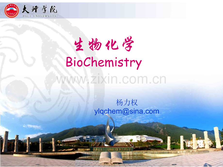 生物化学蛋白质.ppt_第1页