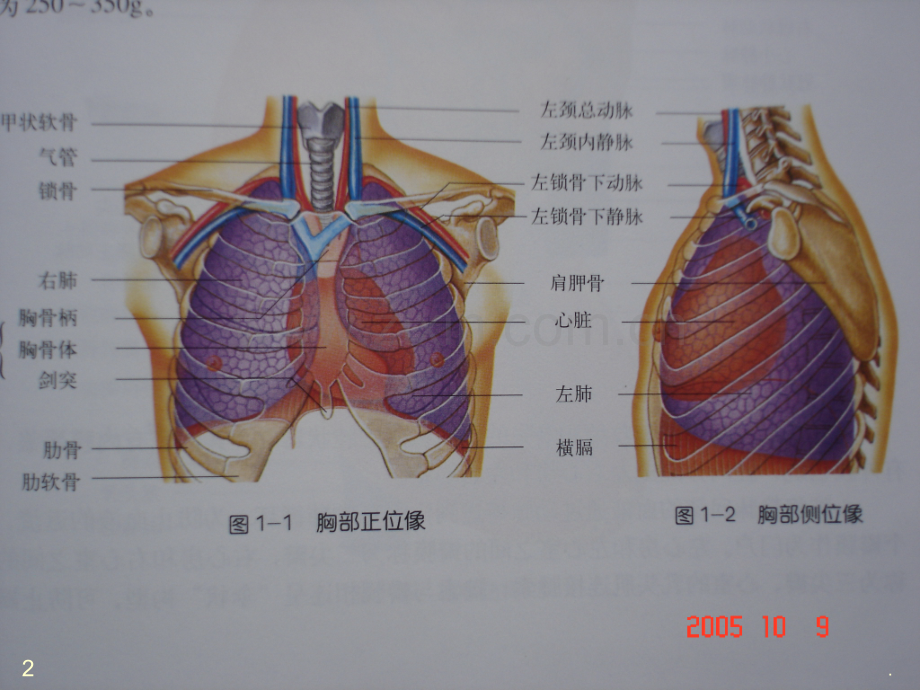 心功能评定.ppt_第2页