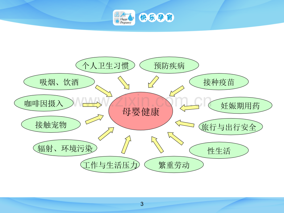 快乐孕育孕妇学校高级教程第三讲孕期生活方式.ppt_第3页