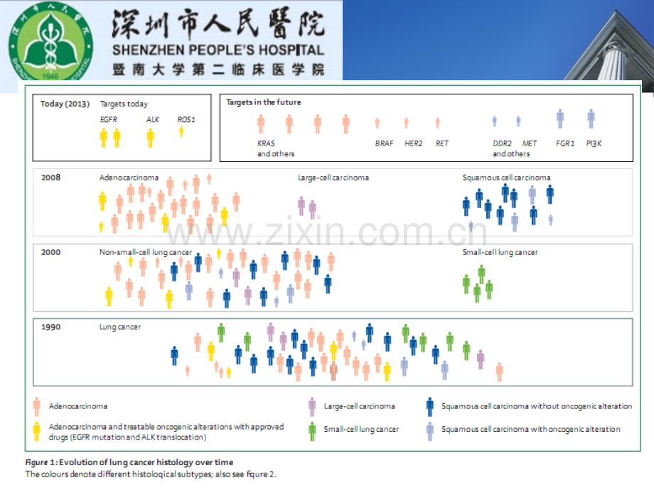 肿瘤分子检测与质量控制.ppt_第3页