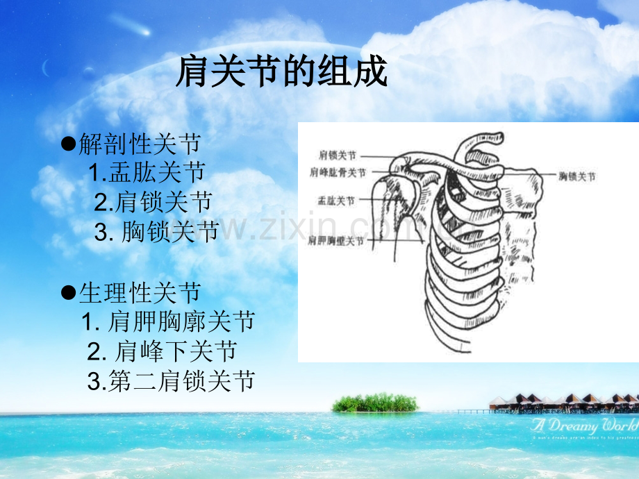 肩关节运动学.ppt_第3页