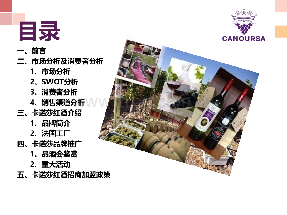 葡萄酒招商方案.ppt_第2页