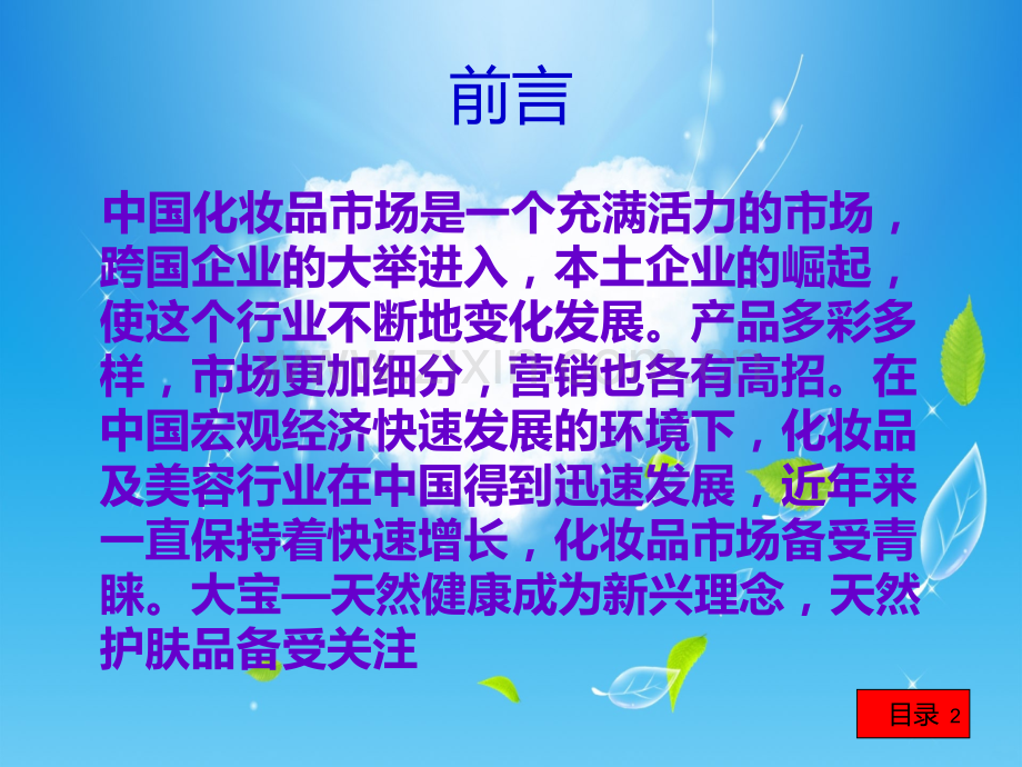 大宝网络营销.ppt_第2页