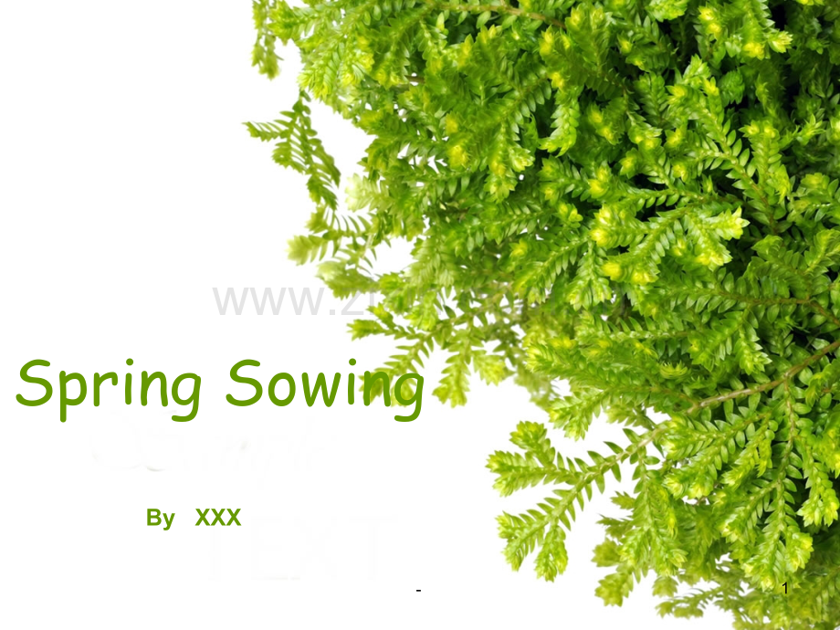 SpringSowing(春耕)作者及爱尔兰简介.ppt_第1页