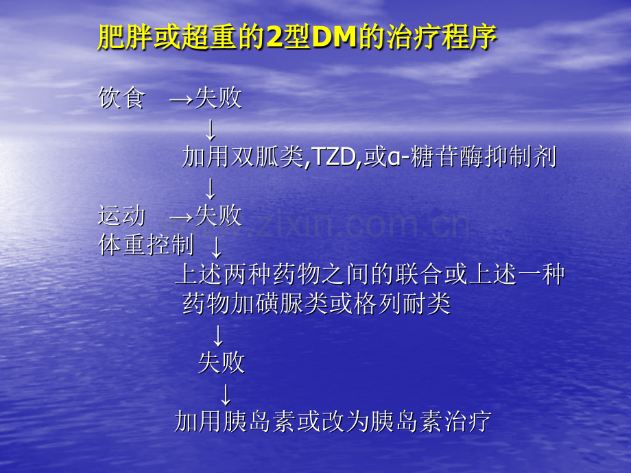 2型糖尿病的胰岛素治疗中山大学附属第二医院内分泌科严励.ppt_第3页