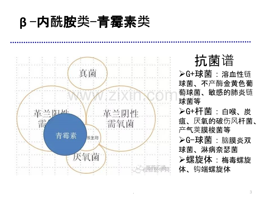 常用抗菌药物抗菌谱解析.pptx_第3页