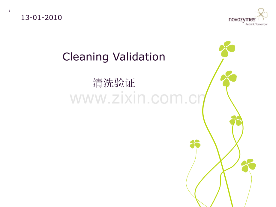 4-Cleaning-Validation-.ppt_第1页