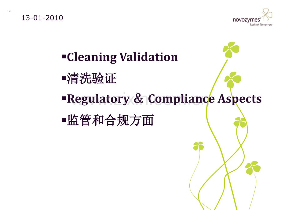 4-Cleaning-Validation-.ppt_第3页