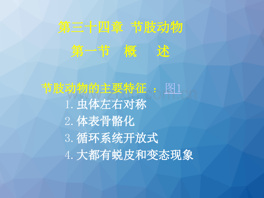 医学节肢动物--.ppt_第2页