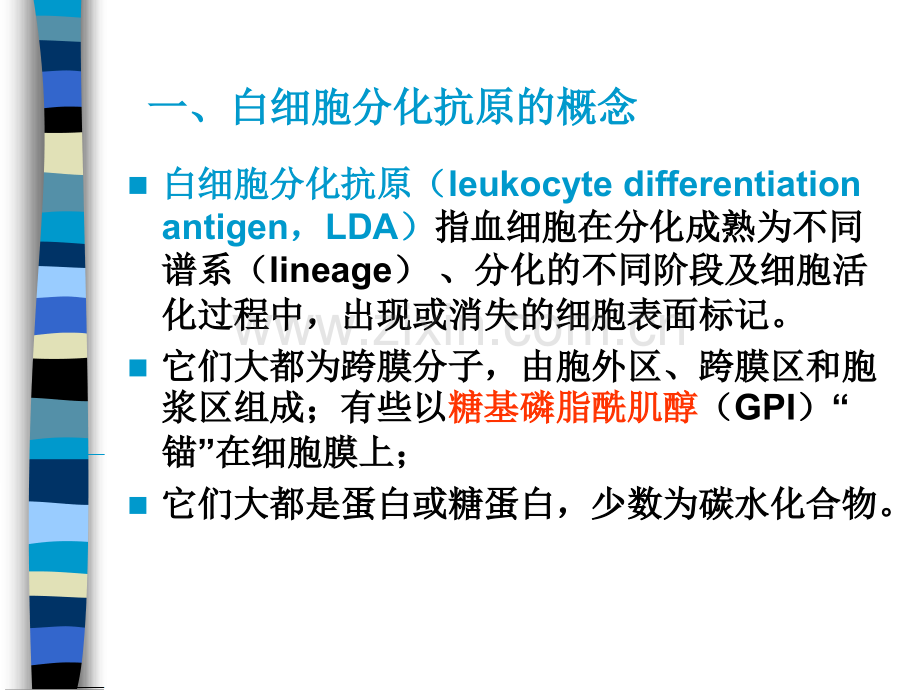 CD分子(研究生).ppt_第3页