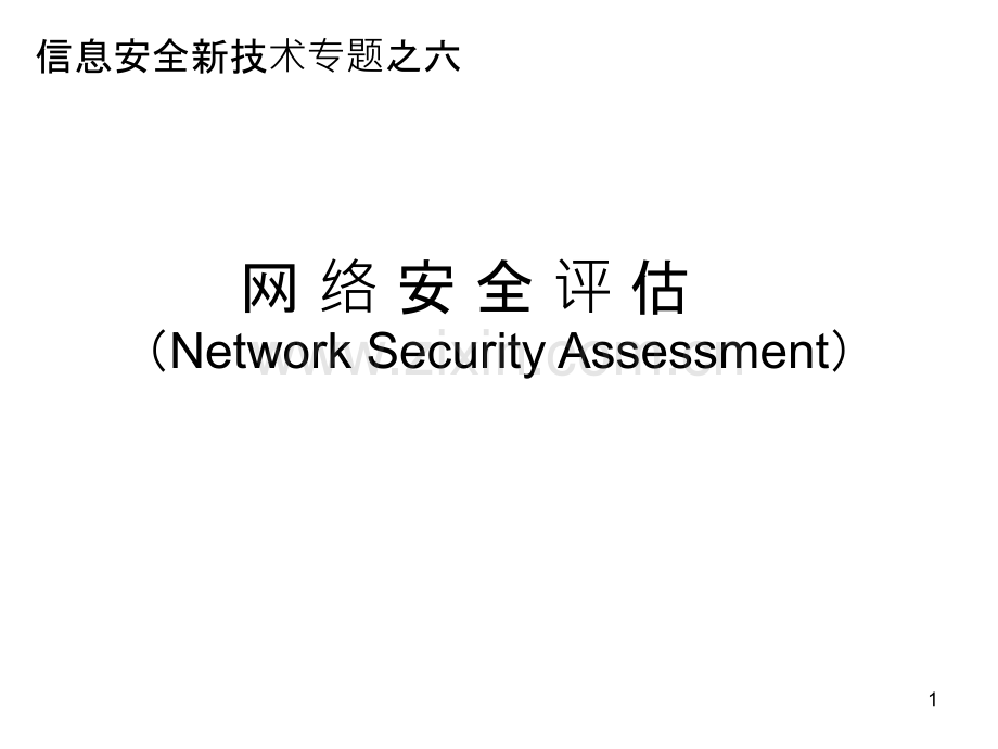 网络安全评估.ppt_第1页