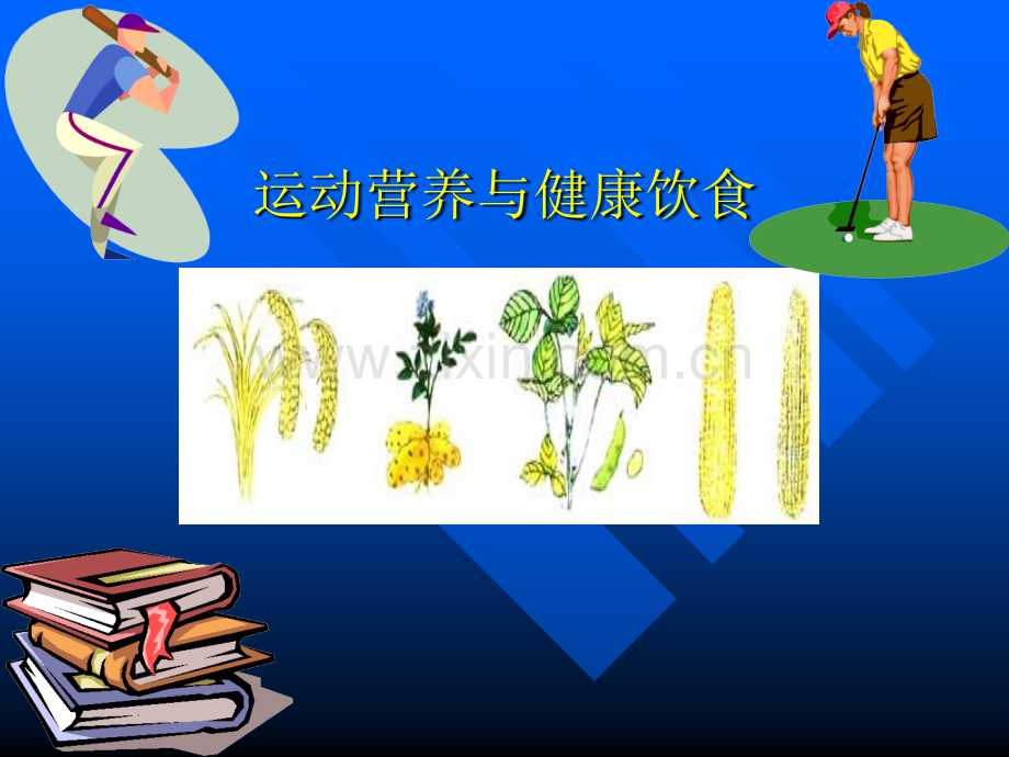 运动营养与健康知识.ppt_第1页