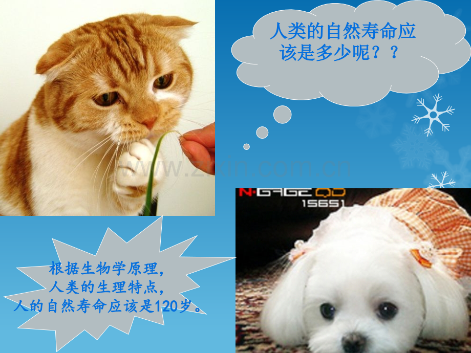 运动与氧化应激.ppt_第2页