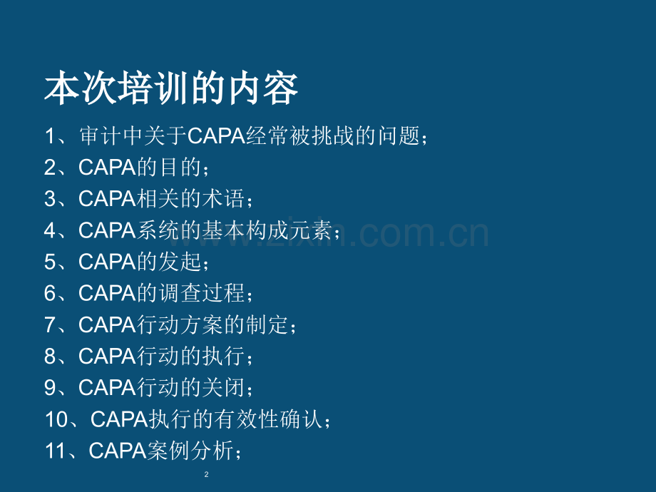 CAPA(精简)精讲.ppt_第2页