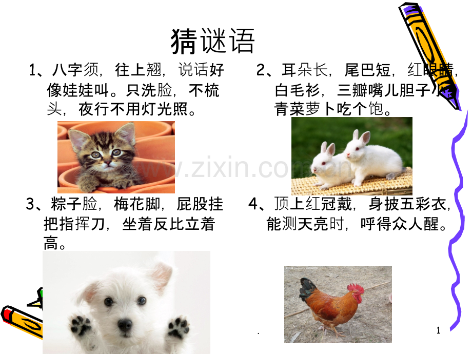 小学四年级作文——我喜欢的小动物.ppt_第1页