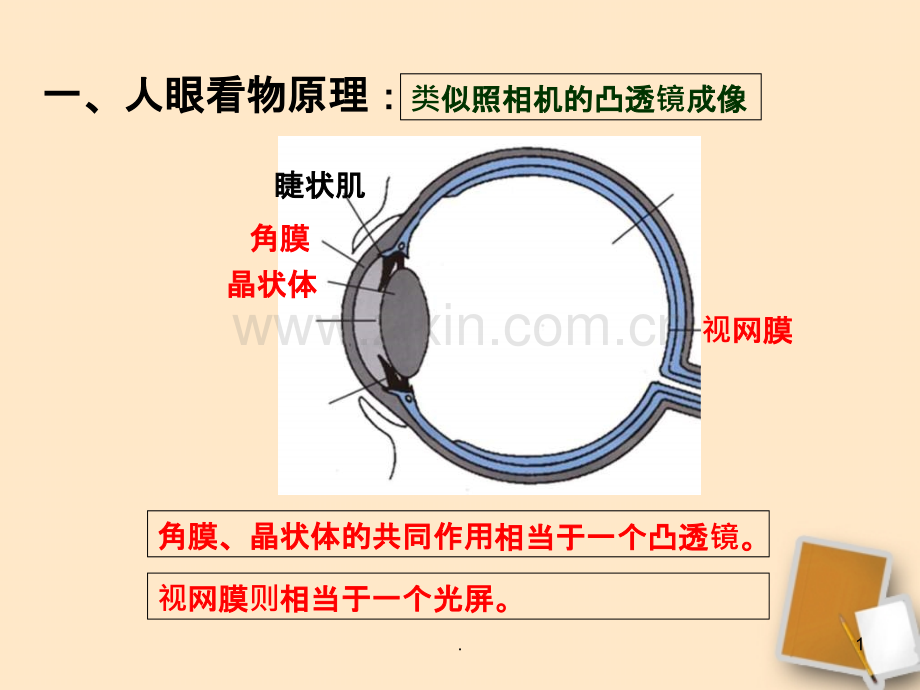 近视眼与远视眼.ppt_第1页