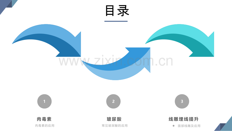 微整形全面注解.pptx_第2页